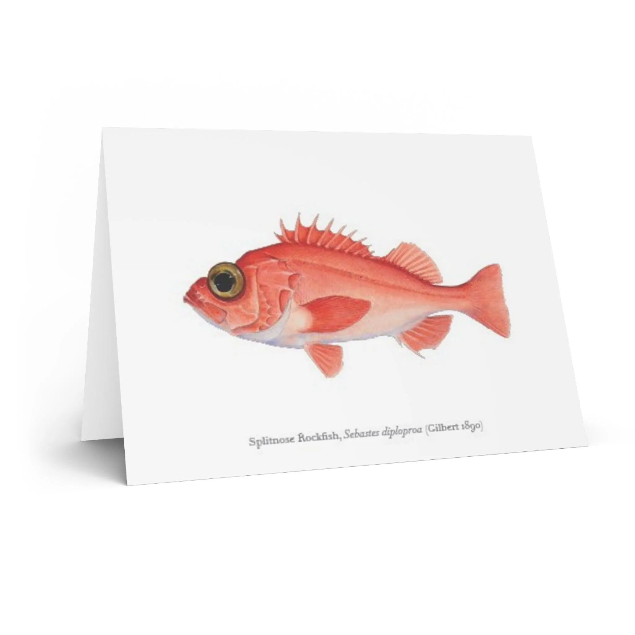 Splitnose Rockfish Greeting Card