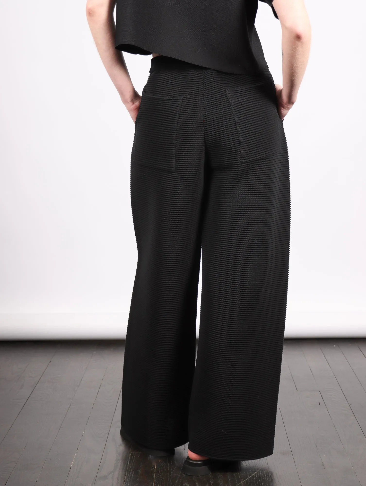 Stratum Wide Straight Pants in Black by CFCL